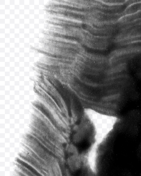 Letter M from Black brush Font on Yellow Images Creative Fonts - S23704