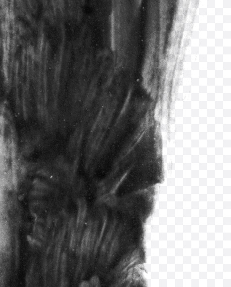 Letter V from Black brush Font on Yellow Images Creative Fonts - S23713