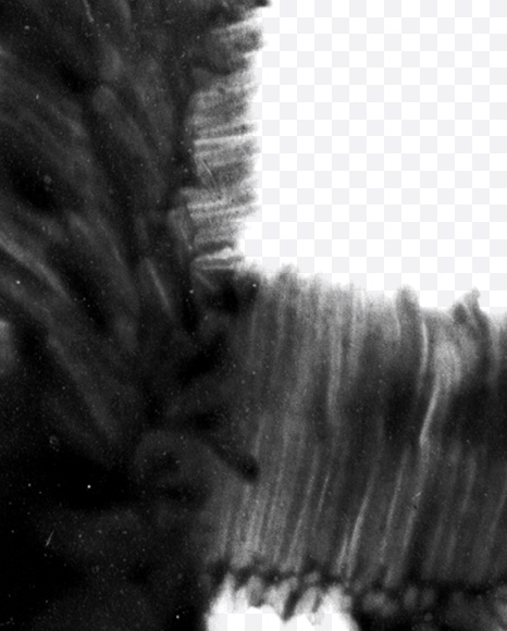 Letter E from Black brush Font on Yellow Images Creative Fonts - S23696