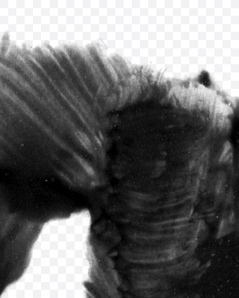 2 from Black brush Font on Yellow Images Creative Fonts - S23719