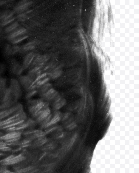 Letter U from Black brush Font on Yellow Images Creative Fonts - S23712