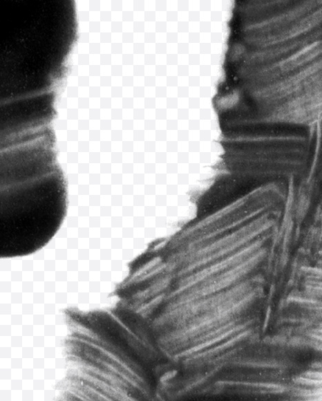 ? from Black brush Font on Yellow Images Creative Fonts - S23729