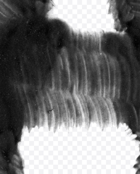 Letter A from Black brush Font on Yellow Images Creative Fonts - S23692