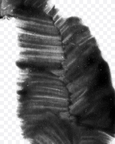 Letter B from Black brush Font on Yellow Images Creative Fonts - S23693