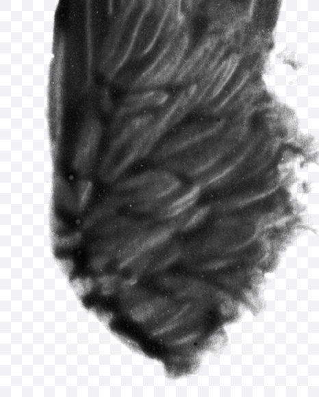 Letter Y from Black brush Font on Yellow Images Creative Fonts - S23716