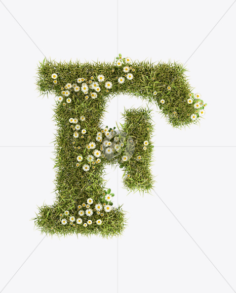 Letter F from Daisy Font on Yellow Images Creative Fonts - S23782