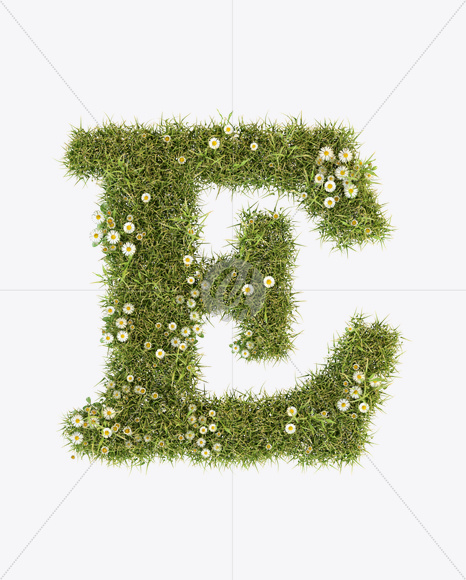 Letter E from Daisy Font on Yellow Images Creative Fonts - S23781