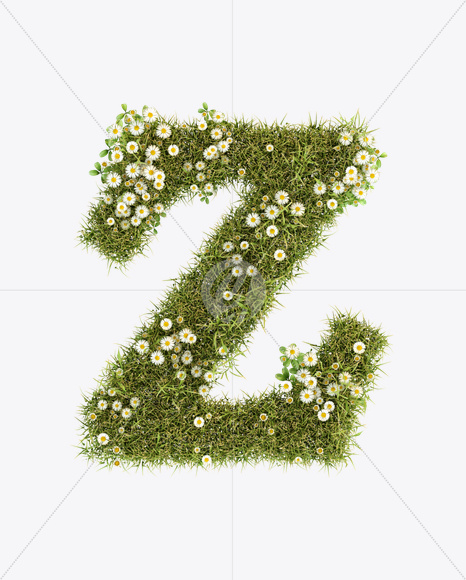 Letter Z from Daisy Font on Yellow Images Creative Fonts - S23802