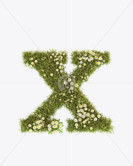 Letter X from Daisy Font on Yellow Images Creative Fonts - S23800