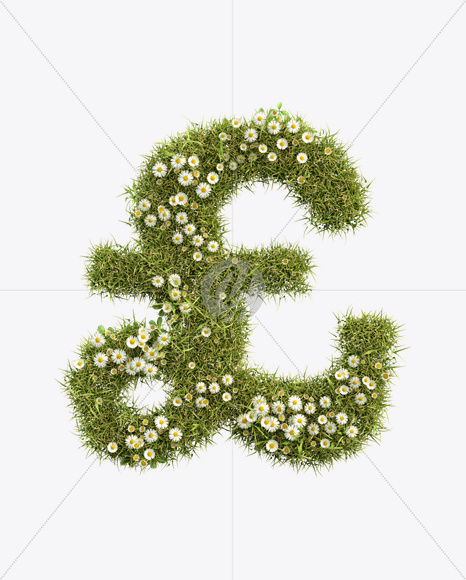 pound from Daisy Font on Yellow Images Creative Fonts - S23819