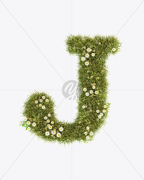 Letter J from Daisy Font on Yellow Images Creative Fonts - S23786