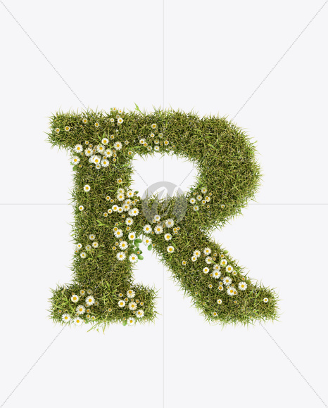 Letter R from Daisy Font on Yellow Images Creative Fonts - S23794