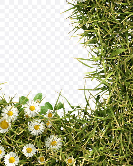 & from Daisy Font on Yellow Images Creative Fonts - S23815
