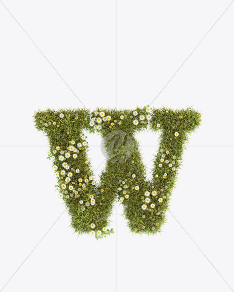 Letter W from Daisy Font on Yellow Images Creative Fonts - S23799