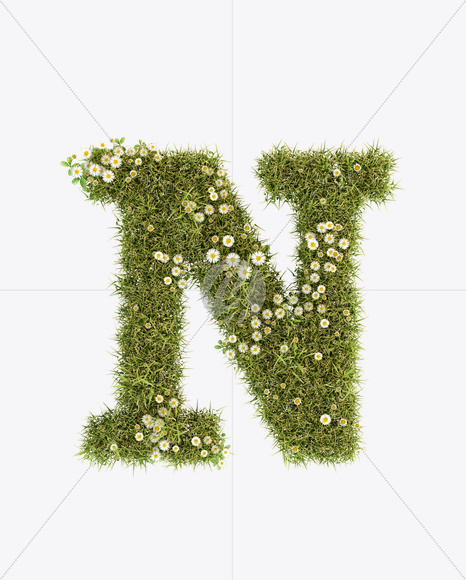 Letter N from Daisy Font on Yellow Images Creative Fonts - S23790