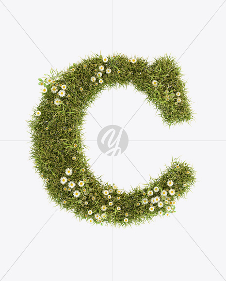 Letter C from Daisy Font on Yellow Images Creative Fonts - S23779