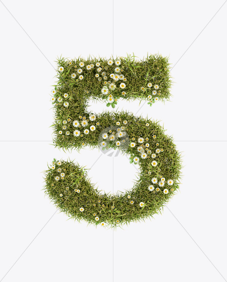 5 from Daisy Font on Yellow Images Creative Fonts - S23807