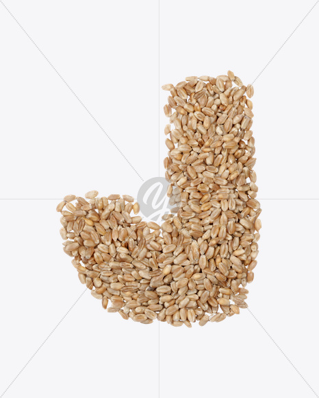 Letter J from Rye Seeds Font on Yellow Images Creative Fonts - S23919