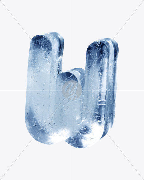 W v2