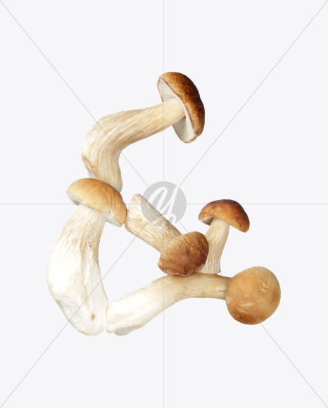 &