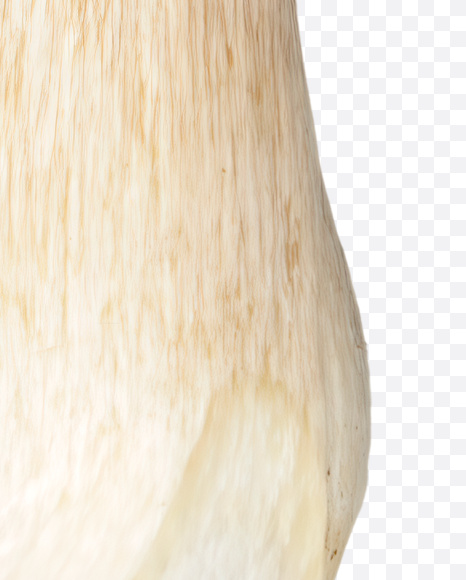 1 from Boletus Font on Yellow Images Creative Fonts - S24341