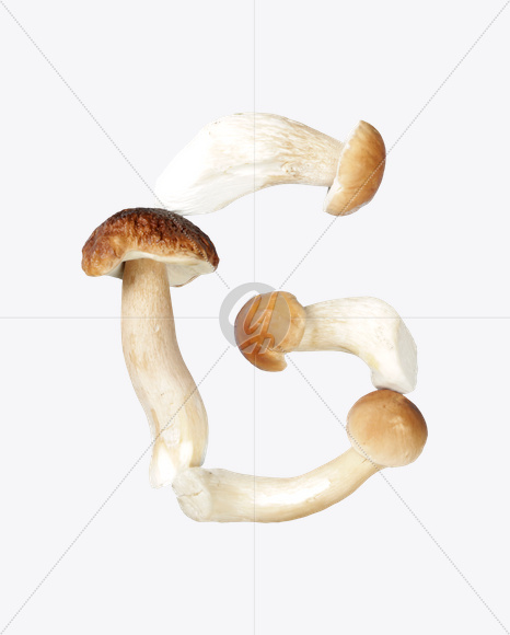 Letter G from Boletus Font on Yellow Images Creative Fonts - S24321