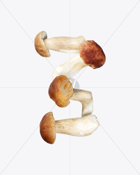 3 from Boletus Font on Yellow Images Creative Fonts - S24343