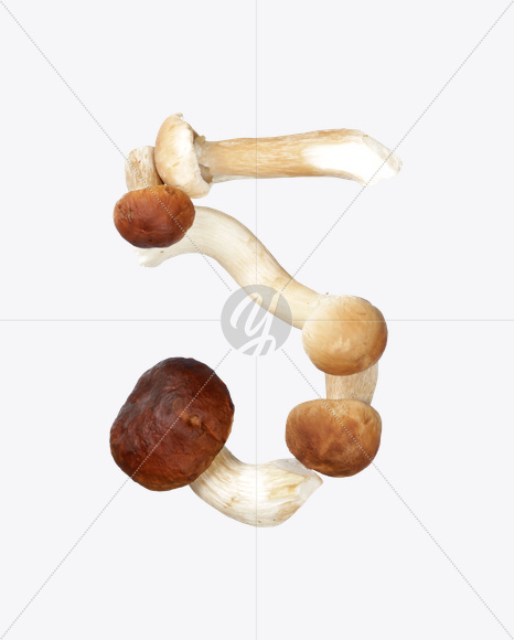 5 from Boletus Font on Yellow Images Creative Fonts - S24345