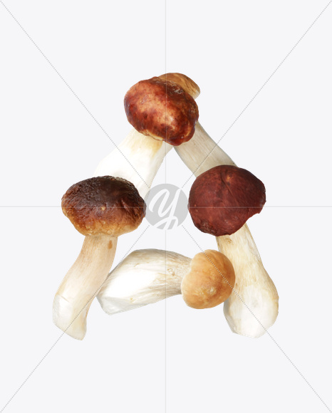 Letter A from Boletus Font on Yellow Images Creative Fonts - S24315