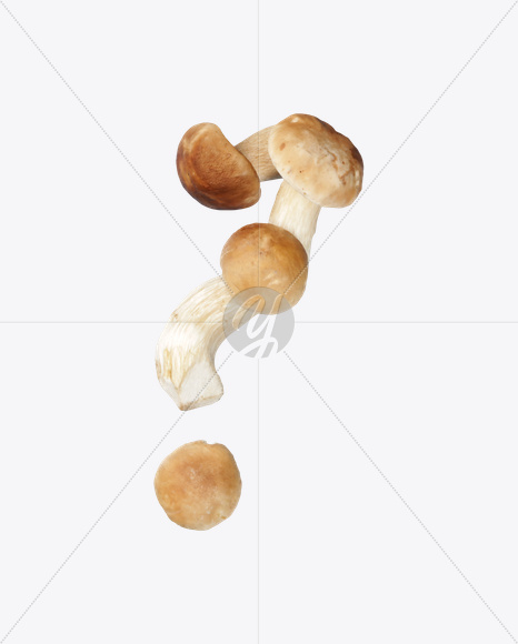 _