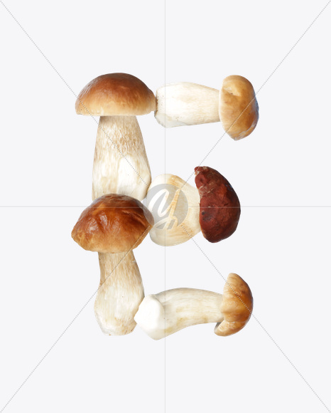 Letter E from Boletus Font on Yellow Images Creative Fonts - S24319