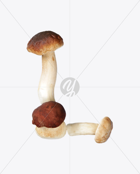 Letter L from Boletus Font on Yellow Images Creative Fonts - S24326