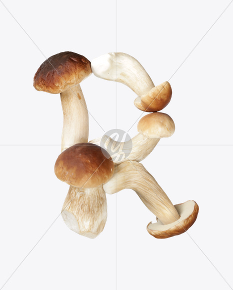 Letter R from Boletus Font on Yellow Images Creative Fonts - S24332