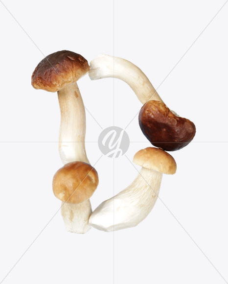 Letter D from Boletus Font on Yellow Images Creative Fonts - S24318