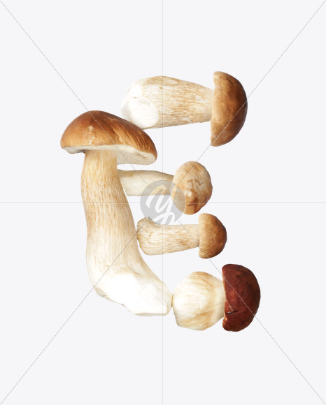 euro from Boletus Font on Yellow Images Creative Fonts - S24353