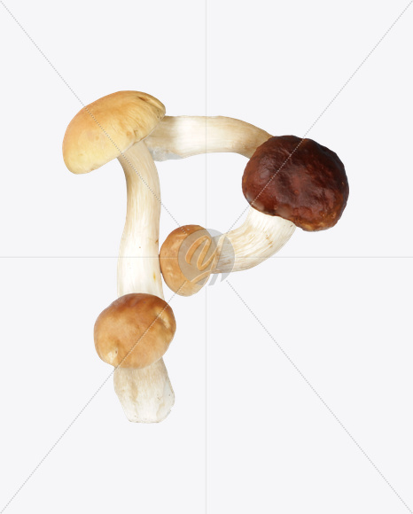 Letter P from Boletus Font on Yellow Images Creative Fonts - S24330