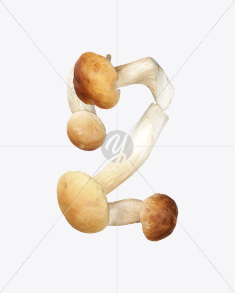 2 from Boletus Font on Yellow Images Creative Fonts - S24342