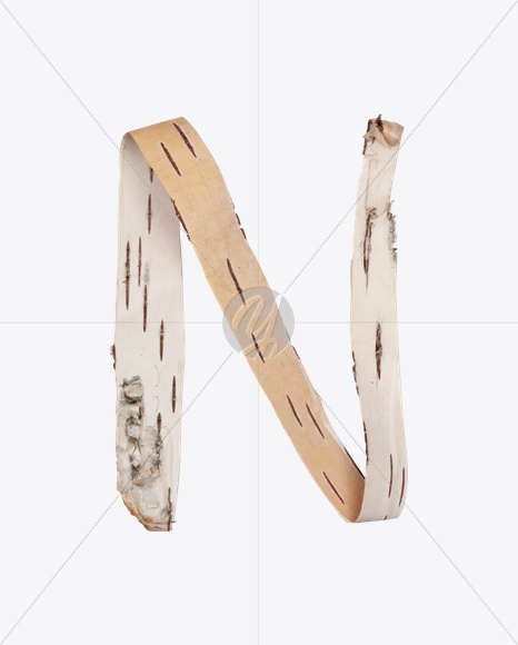 Letter N from Birch Bark Font on Yellow Images Creative Fonts - S25391