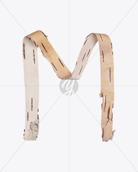 Letter M from Birch Bark Font on Yellow Images Creative Fonts - S25390