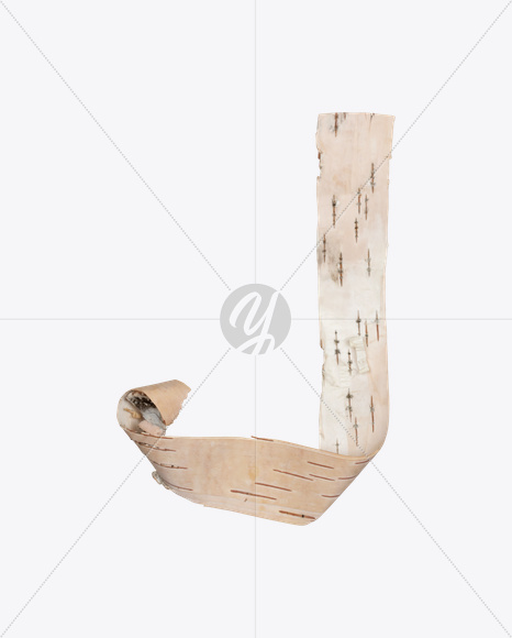 Letter J from Birch Bark Font on Yellow Images Creative Fonts - S25387