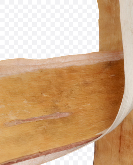 4 from Birch Bark Font on Yellow Images Creative Fonts - S25407