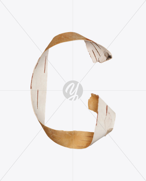 Letter G from Birch Bark Font on Yellow Images Creative Fonts - S25384