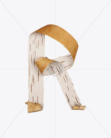 Letter R from Birch Bark Font on Yellow Images Creative Fonts - S25395