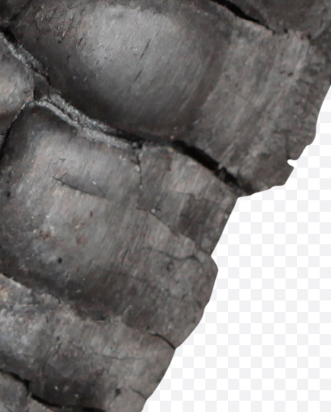 Letter S from Coal Font on Yellow Images Creative Fonts - S25747