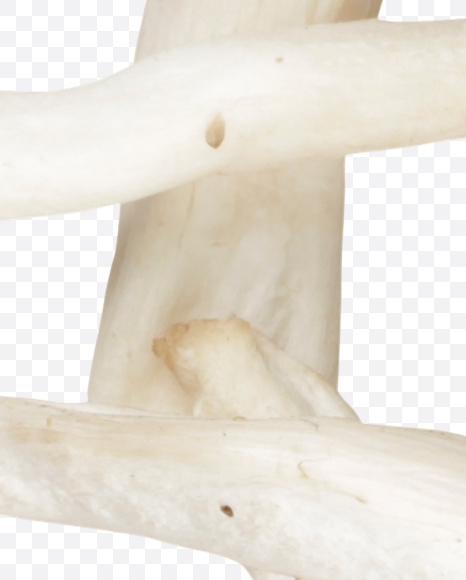 euro from Mushrooms Font on Yellow Images Creative Fonts - S25859