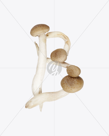 Letter B from Mushrooms Font on Yellow Images Creative Fonts - S25821