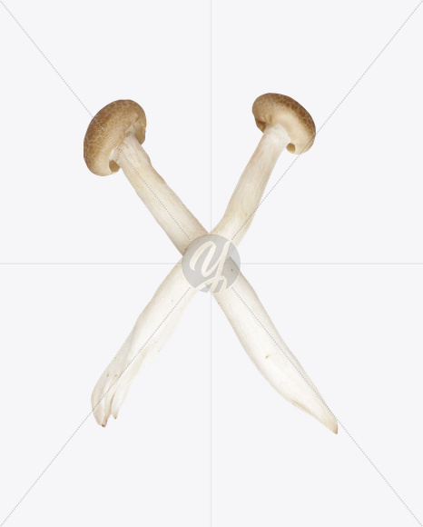 Letter X from Mushrooms Font on Yellow Images Creative Fonts - S25843