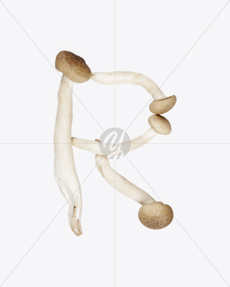 Letter R from Mushrooms Font on Yellow Images Creative Fonts - S25837