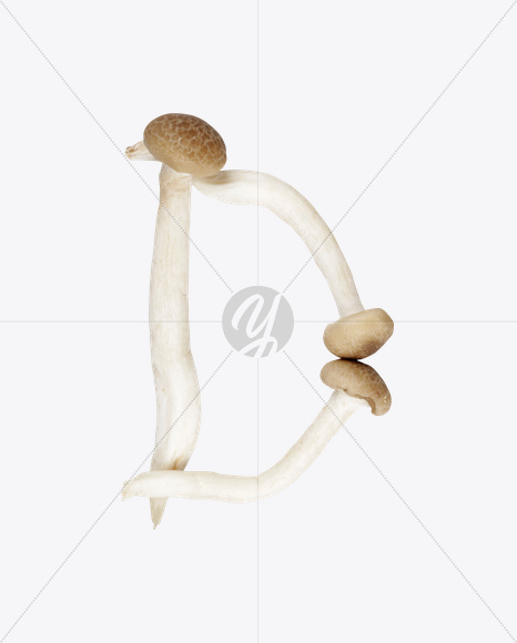 Letter D from Mushrooms Font on Yellow Images Creative Fonts - S25823