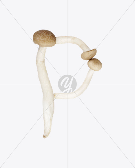 Letter P from Mushrooms Font on Yellow Images Creative Fonts - S25835